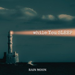 While You Sleep (당신이 잠든 사이에)
