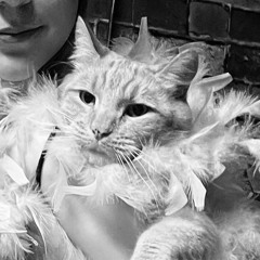 broken turns to beautiful