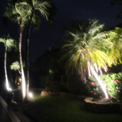 Backwoods prod rabiiot