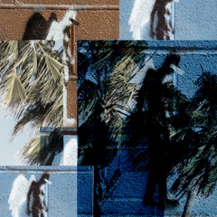 BLVD of Broken Dreams (birdsimulation remix)