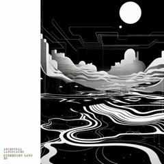 Indefinite Pitch PREMIERES. Ancestral Landscapes - Submerged Land (Hydrous Remix) [Liminal Spaces]