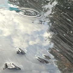 S.U.N. - Beach with no shells (original)