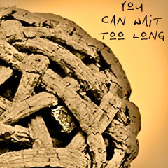 YouCanWaitTooLong