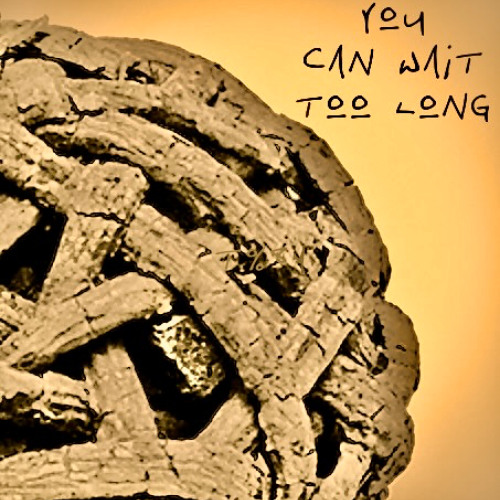 YouCanWaitTooLong