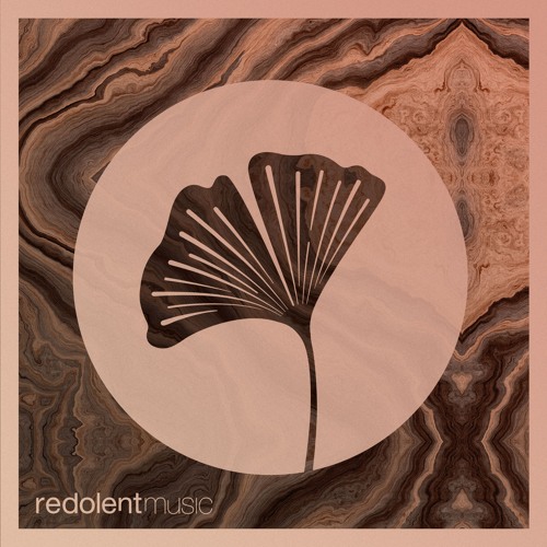 RDT099 CLAVÉ - Guaguanco (Including Edgar Aguirre Remix)