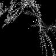 Fractal