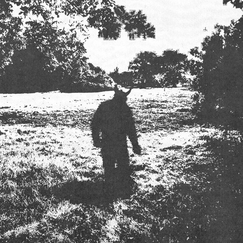 beautiful horns (prod. reesoo)