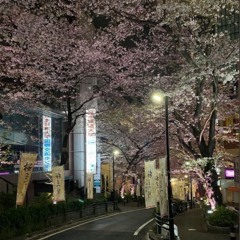 Mr.Tokyo