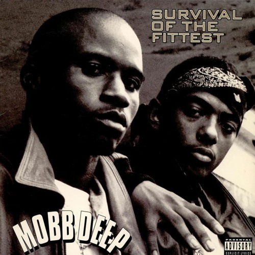 Mobb Deep-Survival Of The Fittest (Siggatunez Dub)