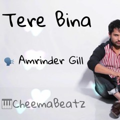 Tere Bina (Feat. Amrinder Gill) (Prod. CheemaBeatz)