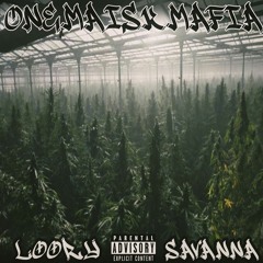 ONEMAISKMAFIA - BLUEBERRY (LOORY X SAVANNA)