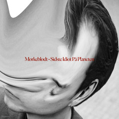 Sidste Idiot På Planeten