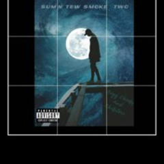 Future_Puffin_On_Zootie_Freestyle