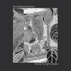 DT:Premiere | Sonic Wave Collective - Shared Textures [Arketip Discs]