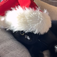 We'll Never Stop (2025)