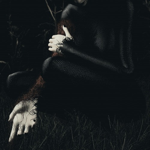 rot (w/ STVG)