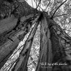 The Crying Trees - Available as Free / Name Your Price Download from Bandcamp