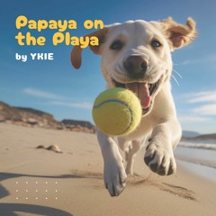 Ykie | Papaya on the Playa | Beach Set | Chill Set