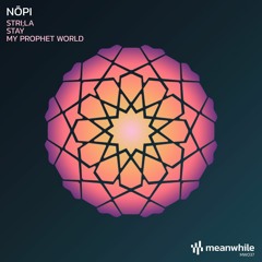 PREMIERE: Nopi - Stay (Original Mix) [meanwhile]