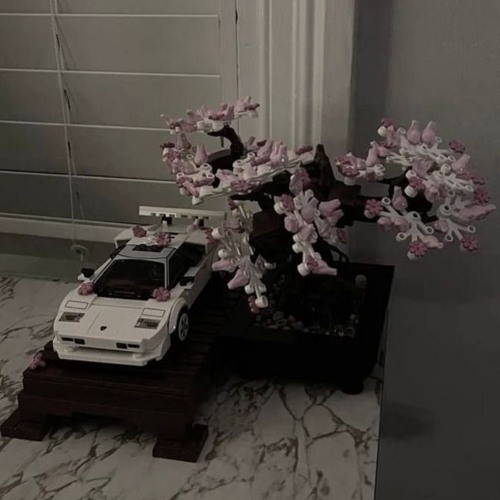 sip system ft kane (tali act hgtf makkgin)