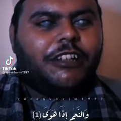 الشيخ مصطفى العوامري   -والنجم اذا هوى