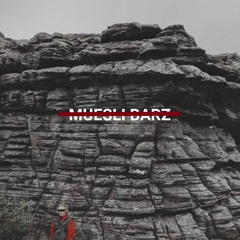 muesli barz - ft (fruitsick)