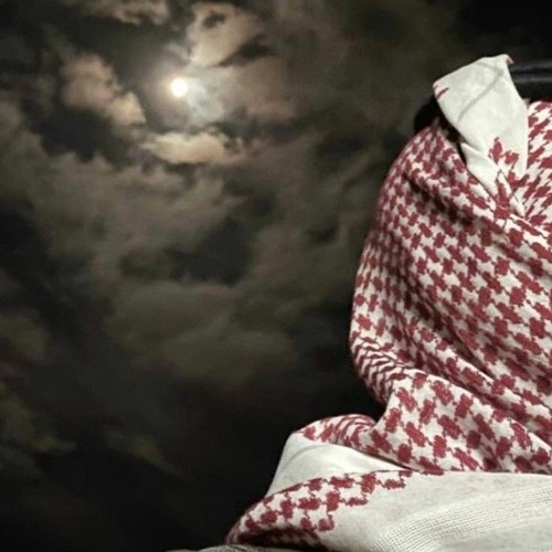 ليتني وياه في وادي