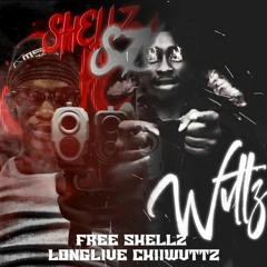 HEAD POP C-HII WVTTZ/SHELLZO