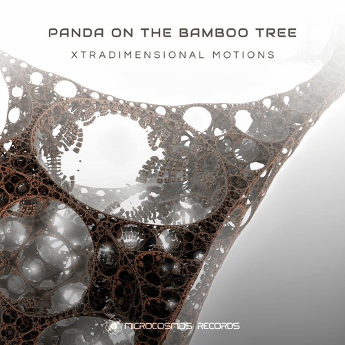 Panda On The Bamboo Tree - Shanti Shantaia