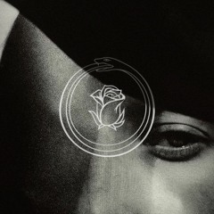 Meshes — Shared Ecstasy