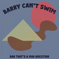 Barry Can't Swim - Rah That's A Mad Question