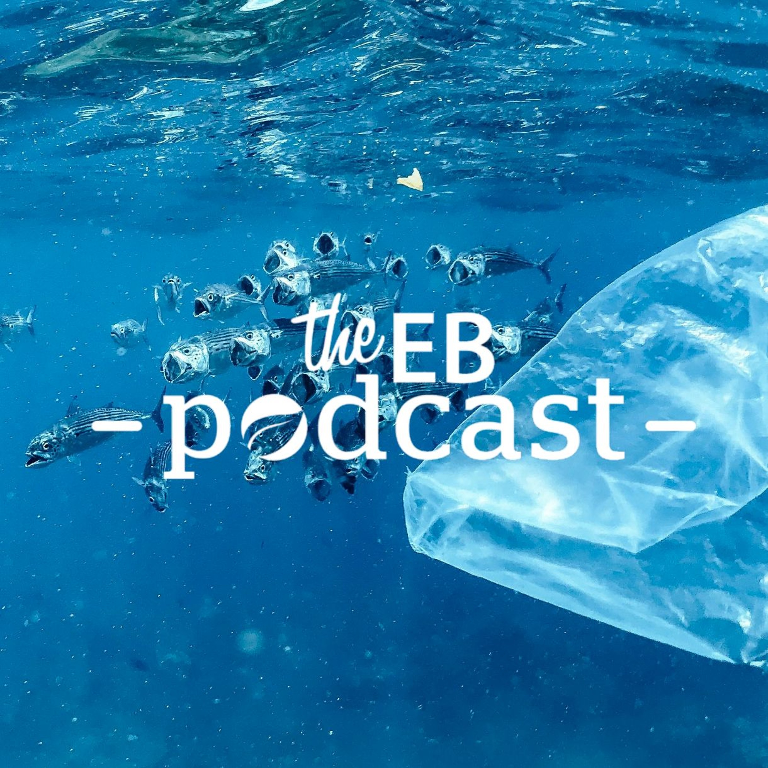 Could putting a value to plastic waste reduce ocean pollution? Plastic Bank says yes
