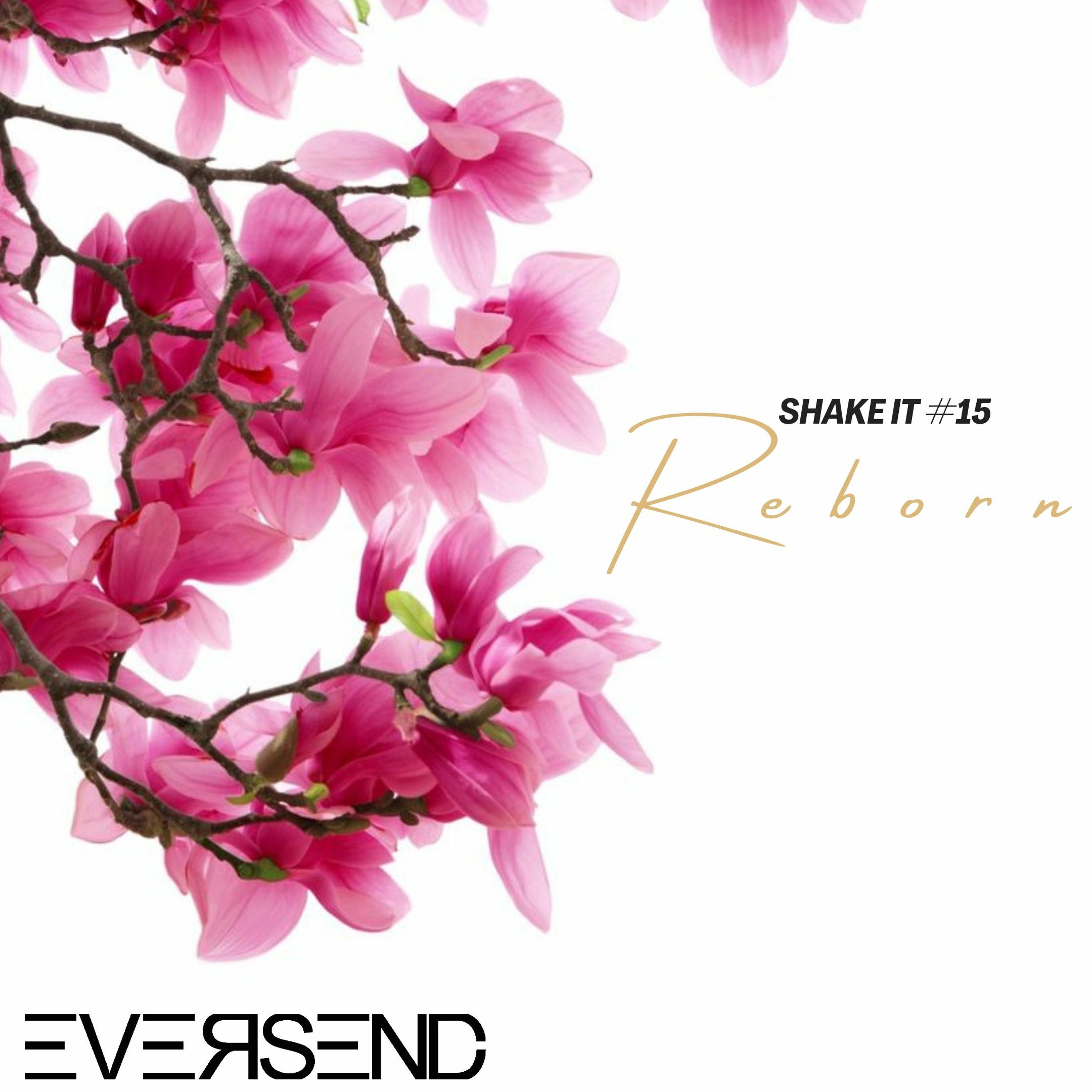 Eversend - Shake It #15 ' Reborn ' episode artwork