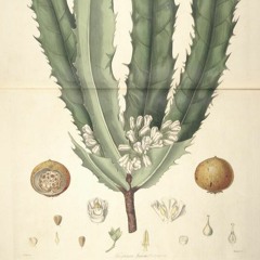 HK_Fantaisies_tracks_63