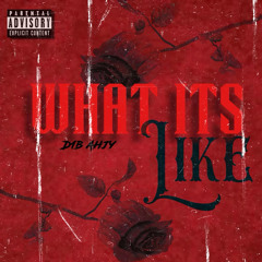 d1bahjy - what its like