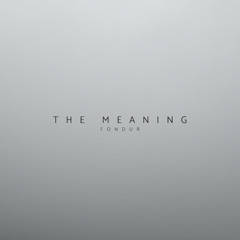 The Meaning