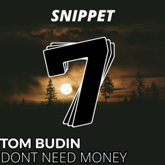 Tom Budin - Dont Need Money (Snippet)
