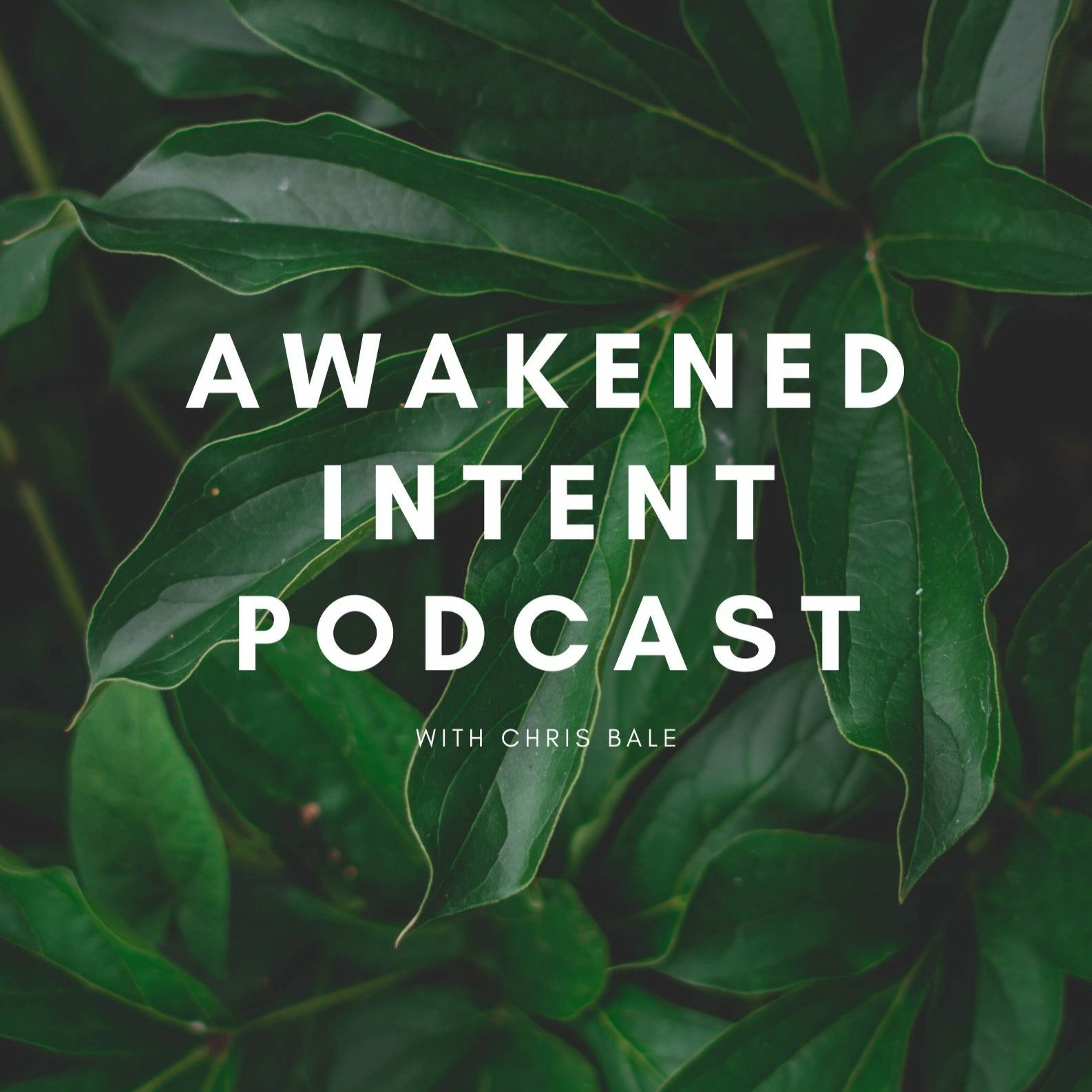 Awakened Intent Podcast With Chris Bale
