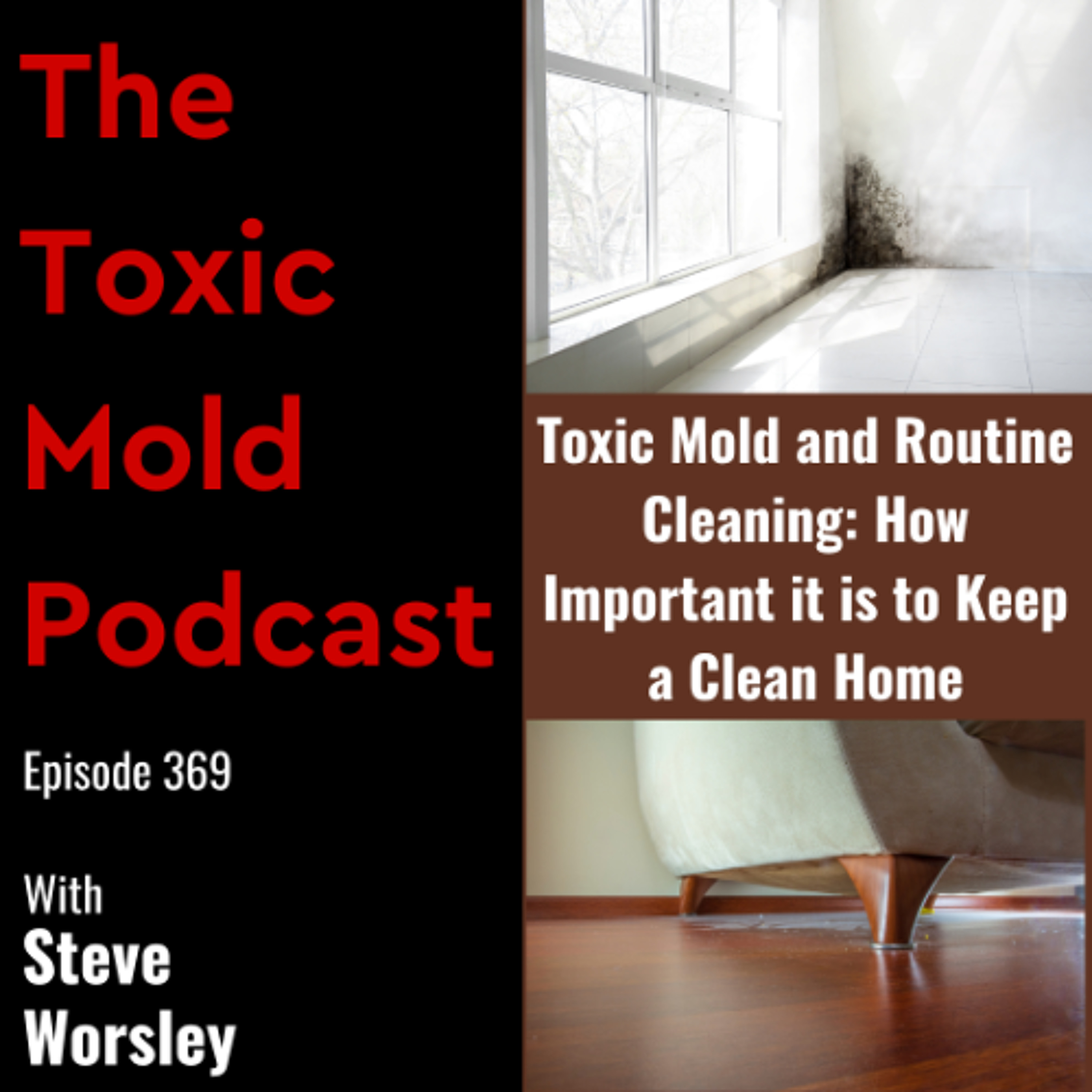 EP 369: Toxic Mold and Routine Cleaning, How Important it is to Keep a Clean Home episode artwork