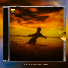 Ryan Castro - BOTAPAFO (Intro Dirty)