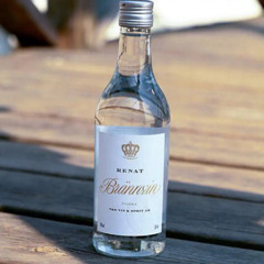 FONUS - Alkohol Löser Inga Problem