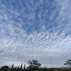 Doncs quedem al Ca L'Oide