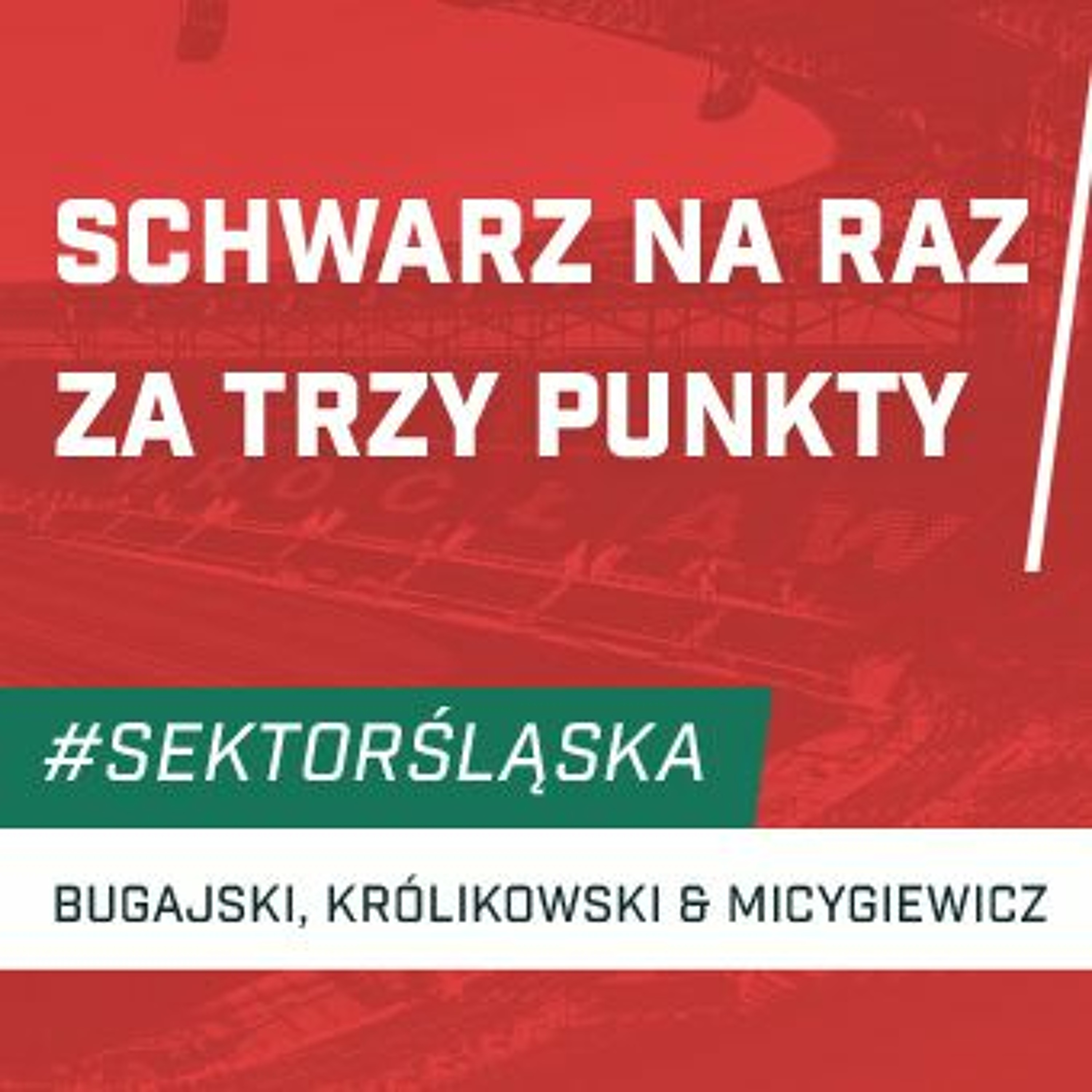 Śląsknet