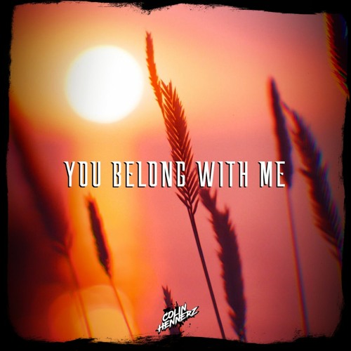 You Belong With Me (Colin Hennerz Remix)