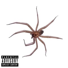 Off-Top$ (Prod. Poloboyshawty + Crime)