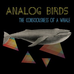 The Consciusness Of A Whale - Lockdown Mix