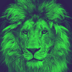 imaginary Nation, SriApollo, Gal Greenberg - Narasimha