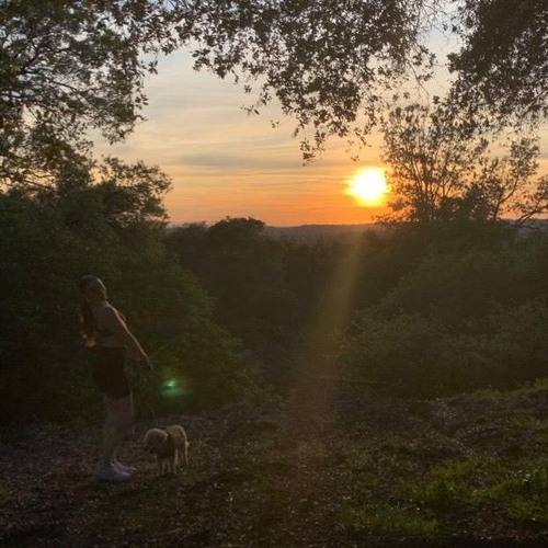 Cover of Spring into Summer by Lizzy Mcalpine