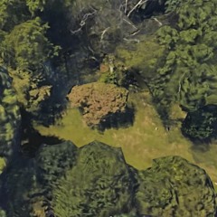 i could drive forever (smog)