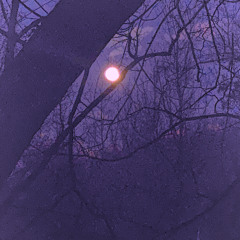 Wolfsbane